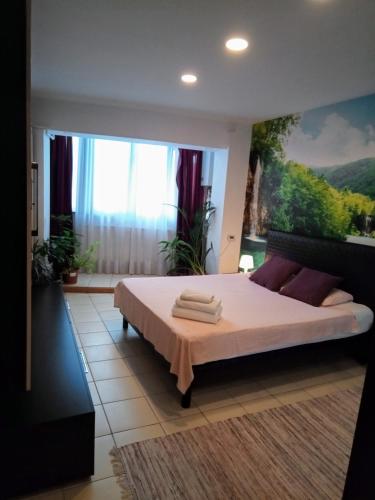 Cozy Downtown Oasis 2