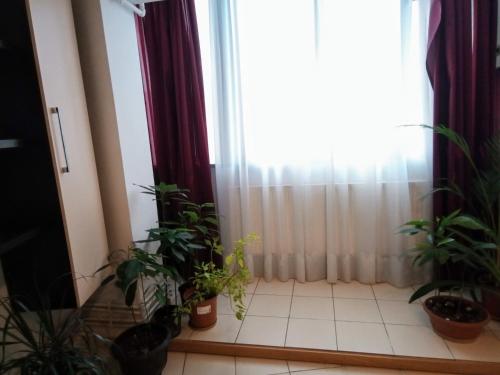 Cozy Downtown Oasis 3