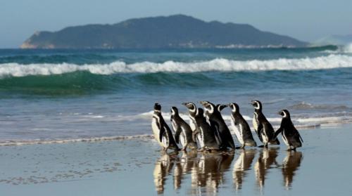 Hostel Mueller na Praia de Mocambique in 聖約翰多西奧維爾梅洛