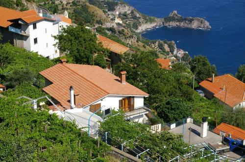 B&B Il Nespolo 5