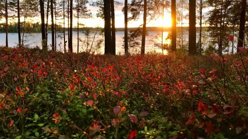 Koskenselän Lomakylä - image 4