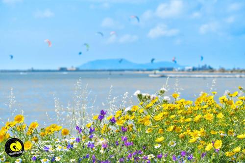 La Posidonia Case Vacanza - image 12