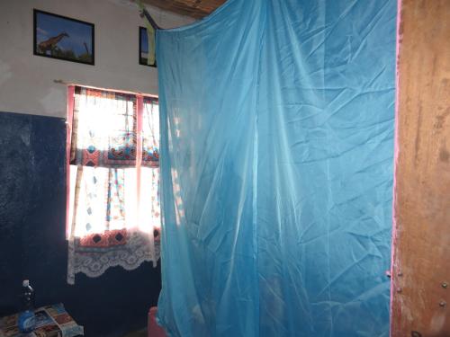 Bahati Diani House Glamping - image 4