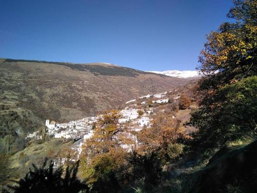 CASA ALBA E IRENE