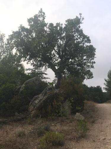  Sardegna vicino ad Olbia "La casa nel vicolo" in Berchidda