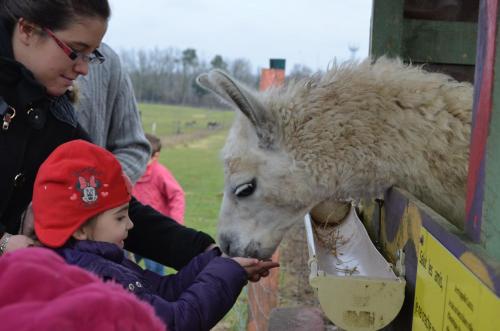 La petite ferme de Pouillon