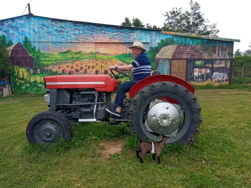 La petite ferme de Pouillon - Parc animalier - aire de loisirs