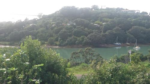 Shelly Beach Studio, Waiheke Island