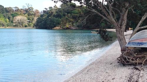 Shelly Beach Studio, Waiheke Island