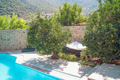 Villa Aleva - image 3