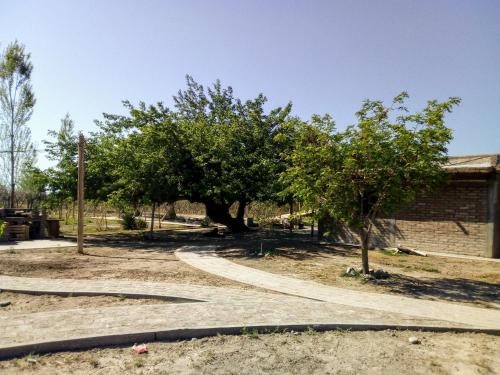 trädgård, Cabañas de la bodega Romano-Pin (Cabanas de la bodega Romano-Pin) in Villa Aberastain