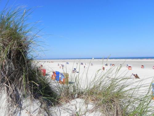 Friesenhaus Amrum Friesenhaushälfte *Klönschnack* - image 10