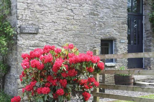 The Dairy at Trevadlock Manor - image 5