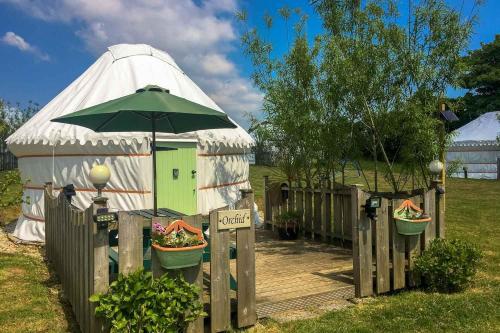 Orchid Yurt, Perranporth, Cornwall