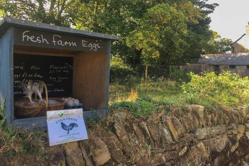 Towan Cottage - image 2