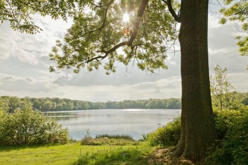 KNAUS Campingpark Leipzig - image 7