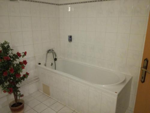 Garni Hotel Anne-Mary - image 2