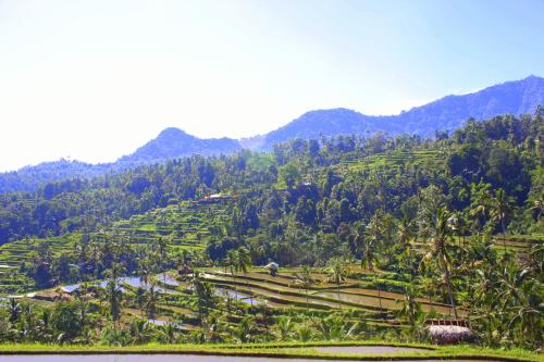 Sport ja tegevused, Ananda Homestay in Singaraja