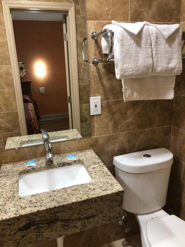 Red Carpet Inn Daytona Beach - 화장실