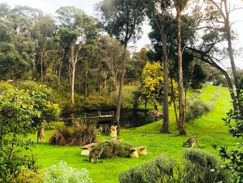 Countryside Retreat romantic tranquil native wildlife township Hepburn - Daylesford, Hepburn