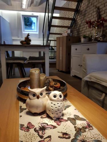 LE NID DE L'ILL Magnifique Duplex Cosy Petite France - image 10