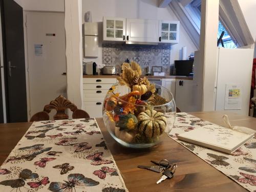 LE NID DE L'ILL Magnifique Duplex Cosy Petite France - image 13