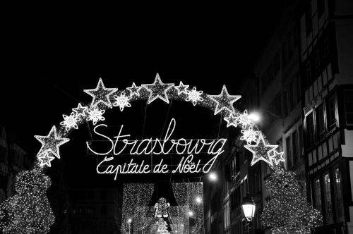 LE NID DE L'ILL Magnifique Duplex Cosy Petite France - image 11
