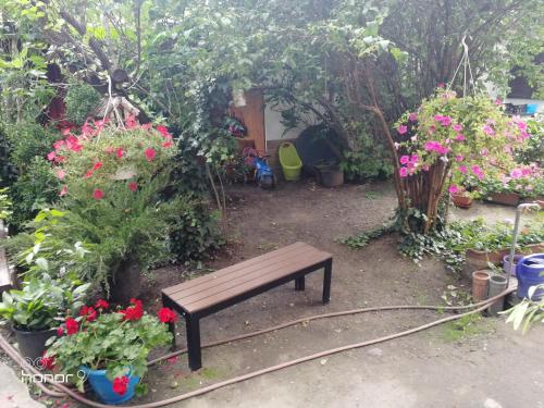 Hungaria Guesthouse - image 9