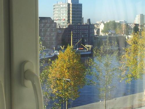 Great View
