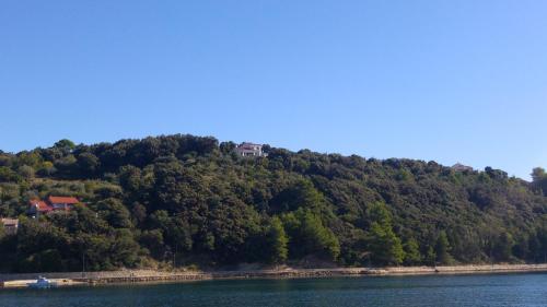 Apartment AMMIRARE Rab - image 2