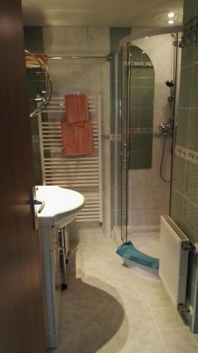 Pension Villa Marit, Praga (foto 9)