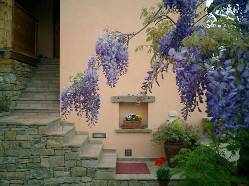 Il Glicine - Accommodation - San Dorligo della Valle