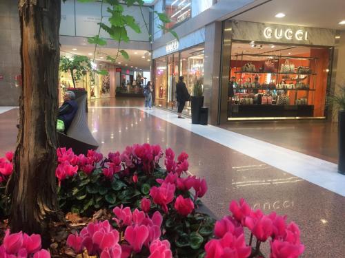 B&B Galleria Cavour 3