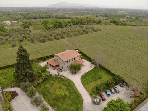  Masseria Campierti, Pension in Falciano del Massico bei Montanaro