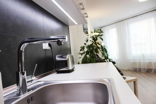 LEO Apartment FREE PARKING - Augusta, Bratislava (fotografie 10)