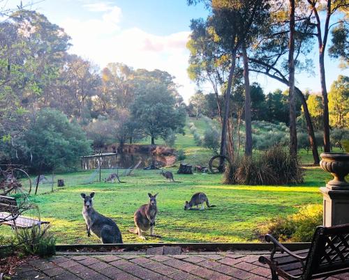 . Countryside Retreat Spa Cottage Hepburn - Daylesford