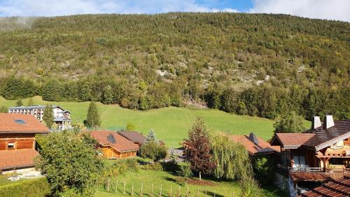 Chalet Lanfiam - image 3