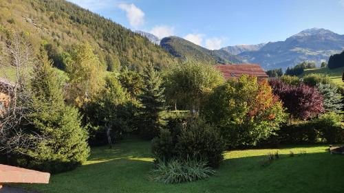 Chalet Lanfiam - image 9