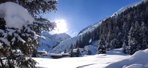 das Chaletdorf - Pitztal