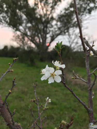 La Recompensa Glamtainer in Paysandu