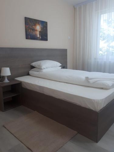 Hotel Breaza - image 7