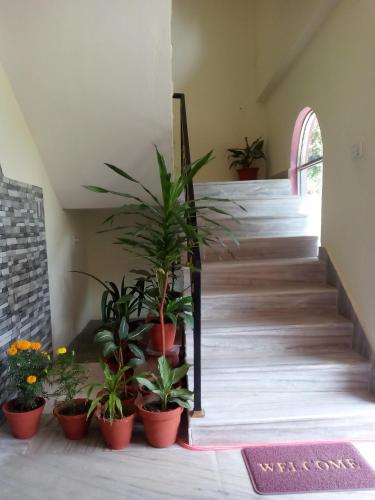 Hotel Green Hill View in Pokhara