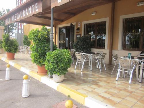 Hotel Totana Sur - image 6