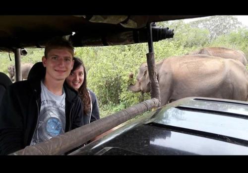 Udawalawe city Safari resort