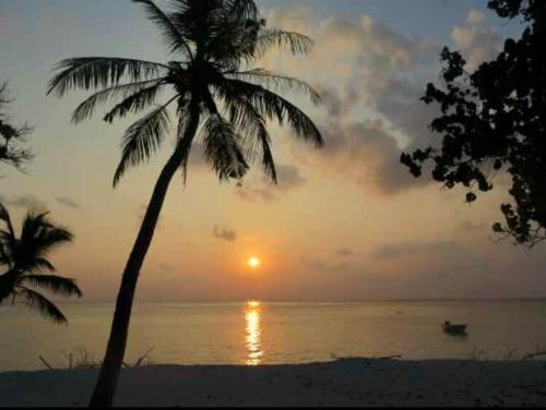 SMILE HOME GUESTHOUSE thumbnail 3