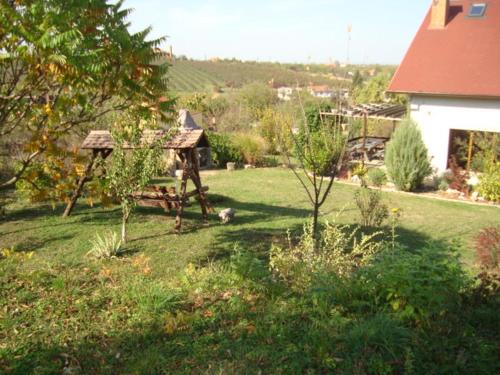VIS PENSION