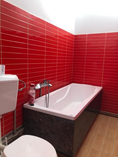 حمام, Pipera Park Studios in بيبيرا