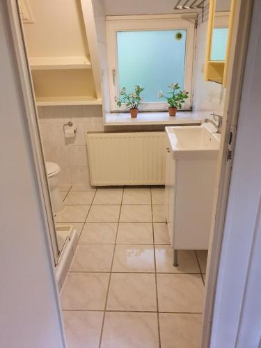  Durbuy72, Het kleine huis in het bos. in Durbuy