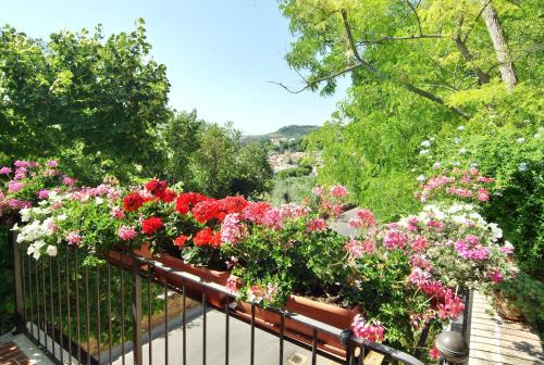 Villa Fiorita – Grottammare, MO