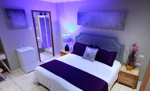Standard Double Room image 7